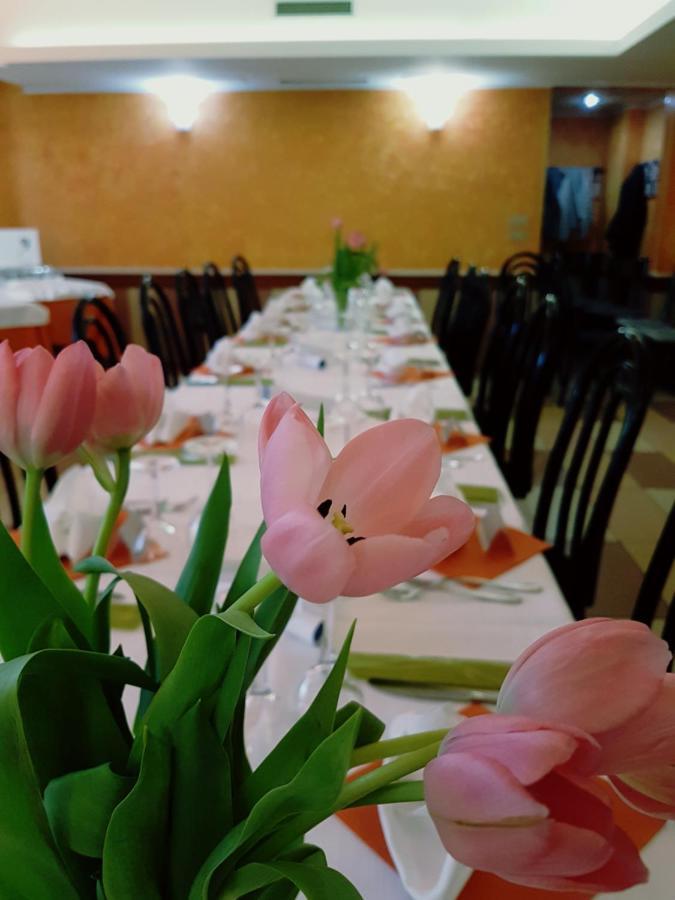 Albergo Ristorante Il Delfino Novara Bagian luar foto